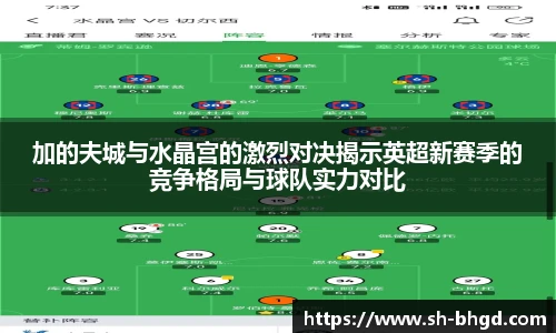 8866体育加的夫城与水晶宫的激烈对决揭示英超新赛季的竞争格局与球队实力对比